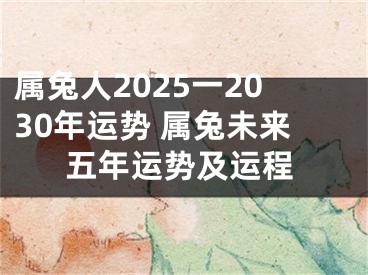 属兔人2025一2030年运势 属兔未来五年运势及运程