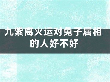 九紫离火运对兔子属相的人好不好