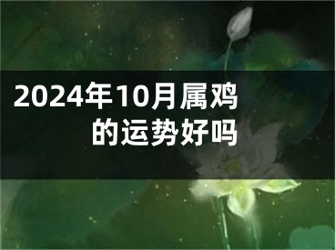 2024年10月属鸡的运势好吗