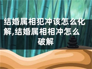 结婚属相犯冲该怎么化解,结婚属相相冲怎么破解