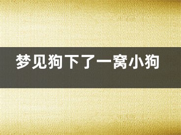 梦见狗下了一窝小狗