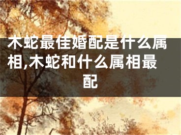 木蛇最佳婚配是什么属相,木蛇和什么属相最配