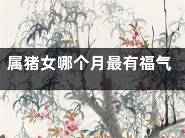 属猪女哪个月最有福气