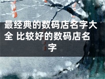 最经典的数码店名字大全 比较好的数码店名字