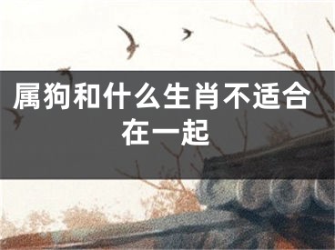 属狗和什么生肖不适合在一起