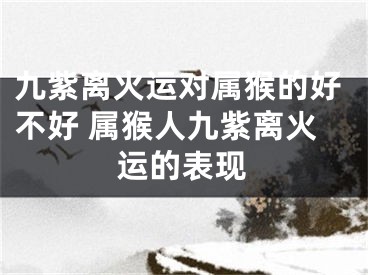 九紫离火运对属猴的好不好 属猴人九紫离火运的表现
