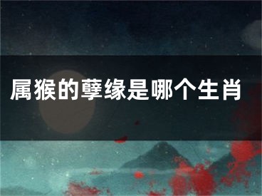 属猴的孽缘是哪个生肖