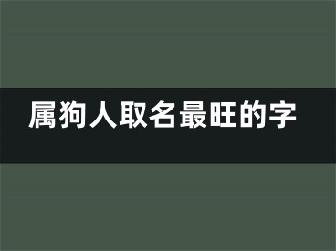 属狗人取名最旺的字
