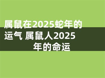 属鼠在2025蛇年的运气 属鼠人2025年的命运