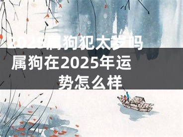 2025属狗犯太岁吗 属狗在2025年运势怎么样