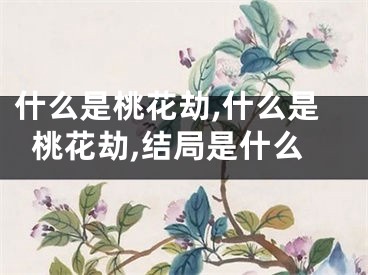 什么是桃花劫,什么是桃花劫,结局是什么
