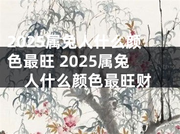 2025属兔人什么颜色最旺 2025属兔人什么颜色最旺财