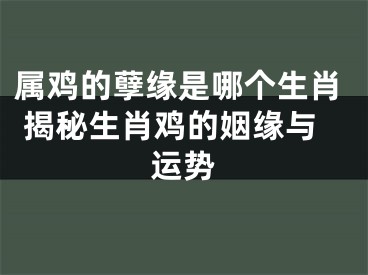 属鸡的孽缘是哪个生肖 揭秘生肖鸡的姻缘与运势