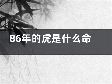 86年的虎是什么命