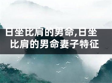日坐比肩的男命,日坐比肩的男命妻子特征