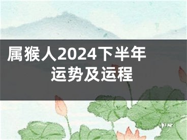 属猴人2024下半年运势及运程