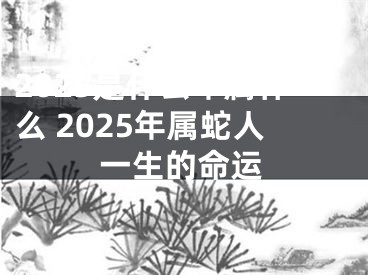 2025是什么年属什么 2025年属蛇人一生的命运