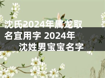 沈氏2024年属龙取名宜用字 2024年沈姓男宝宝名字