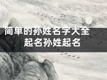 简单的孙姓名字大全 起名孙姓起名