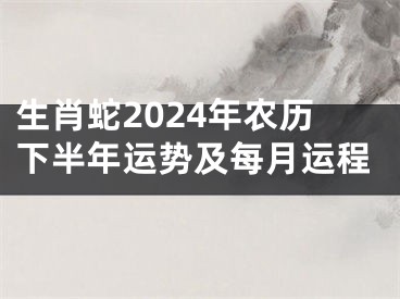 生肖蛇2024年农历下半年运势及每月运程