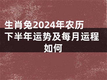 生肖兔2024年农历下半年运势及每月运程如何
