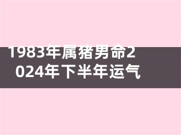 1983年属猪男命2024年下半年运气
