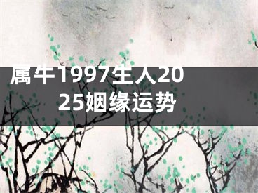 属牛1997生人2025姻缘运势
