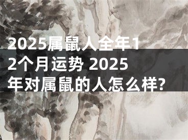 2025属鼠人全年12个月运势 2025年对属鼠的人怎么样?