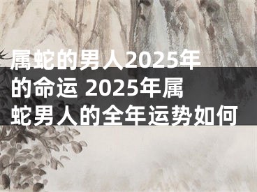 属蛇的男人2025年的命运 2025年属蛇男人的全年运势如何