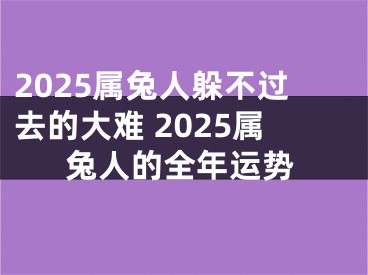 2025属兔人躲不过去的大难 2025属兔人的全年运势