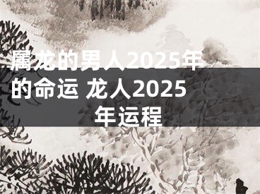 属龙的男人2025年的命运 龙人2025年运程
