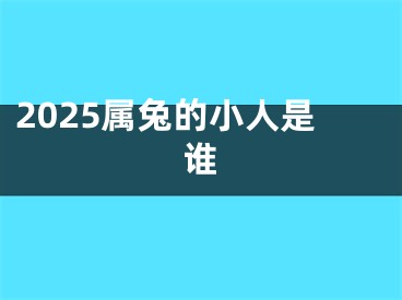 2025属兔的小人是谁