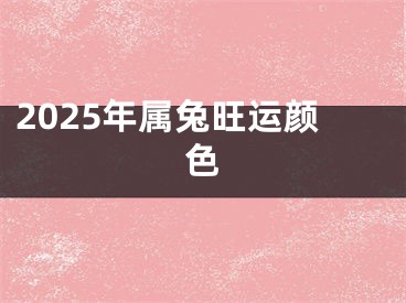 2025年属兔旺运颜色
