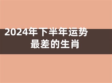 2024年下半年运势最差的生肖