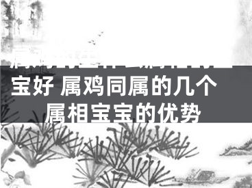 属鸡的生什么属相的宝宝好 属鸡同属的几个属相宝宝的优势