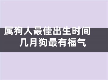 属狗人最佳出生时间 几月狗最有福气