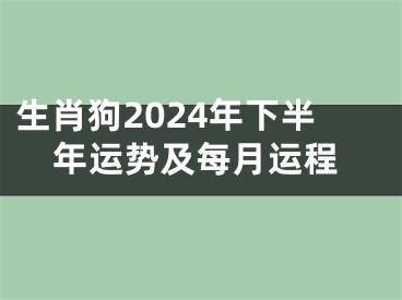 生肖狗2024年下半年运势及每月运程