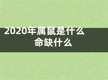 2020年属鼠是什么命缺什么
