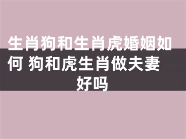 生肖狗和生肖虎婚姻如何 狗和虎生肖做夫妻好吗