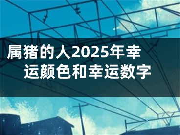 属猪的人2025年幸运颜色和幸运数字