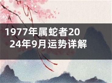 1977年属蛇者2024年9月运势详解
