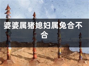 婆婆属猪媳妇属兔合不合