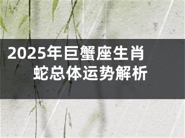 2025年巨蟹座生肖蛇总体运势解析