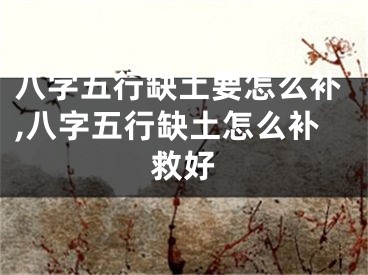 八字五行缺土要怎么补,八字五行缺土怎么补救好