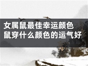 女属鼠最佳幸运颜色 鼠穿什么颜色的运气好