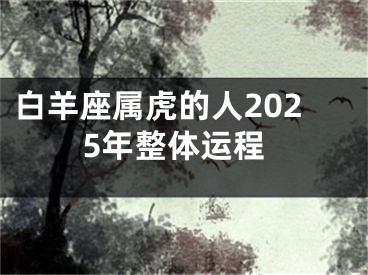 白羊座属虎的人2025年整体运程