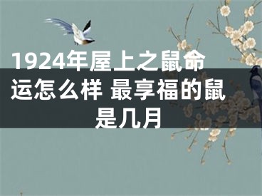 1924年屋上之鼠命运怎么样 最享福的鼠是几月