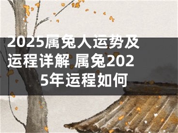 2025属兔人运势及运程详解 属兔2025年运程如何