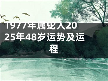 1977年属蛇人2025年48岁运势及运程