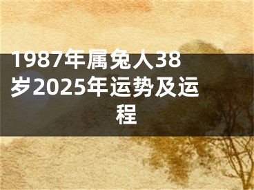 1987年属兔人38岁2025年运势及运程
